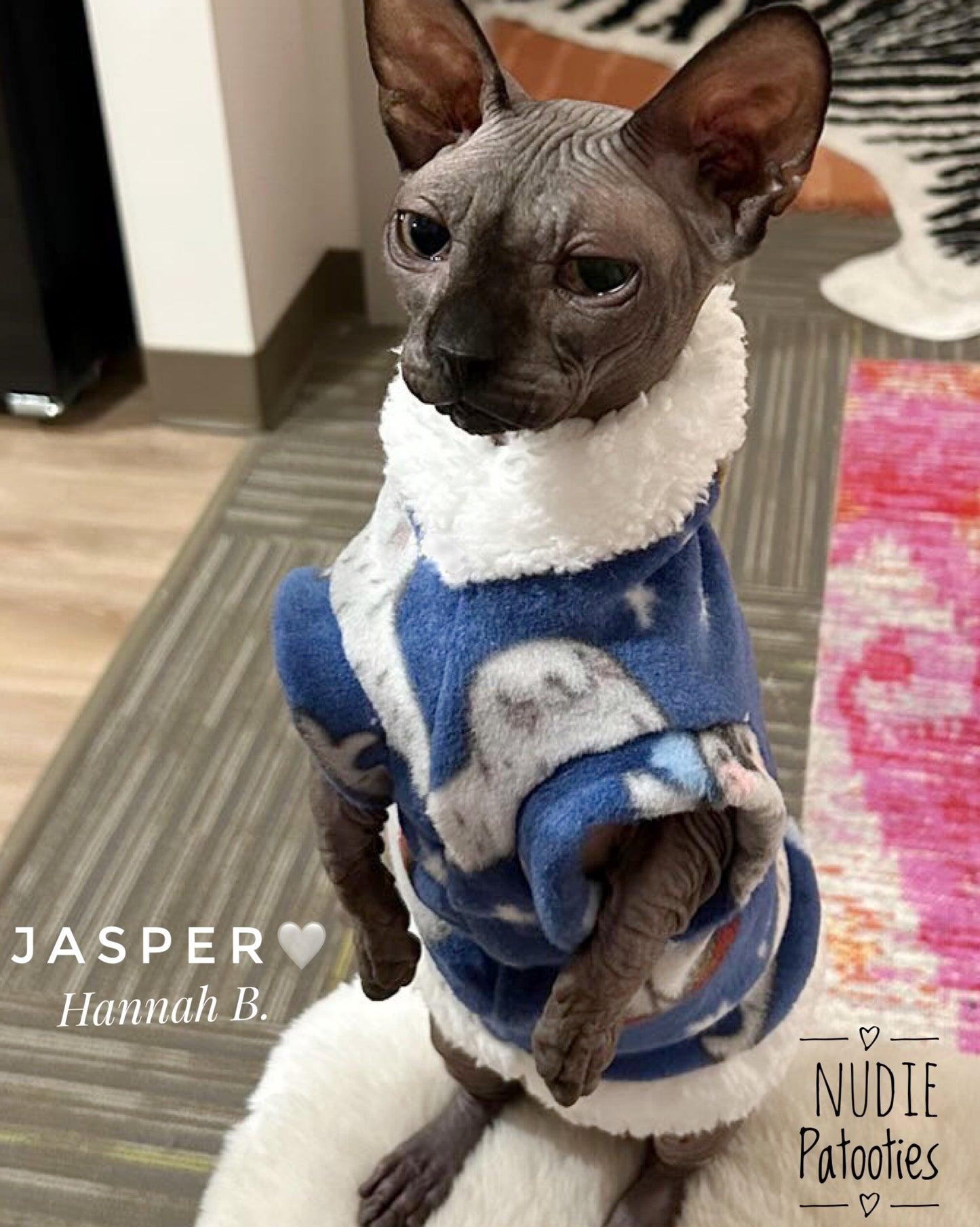 Christmas fleece shirt for sphynx cat and kitten. Christmas sphynx cat clothes.