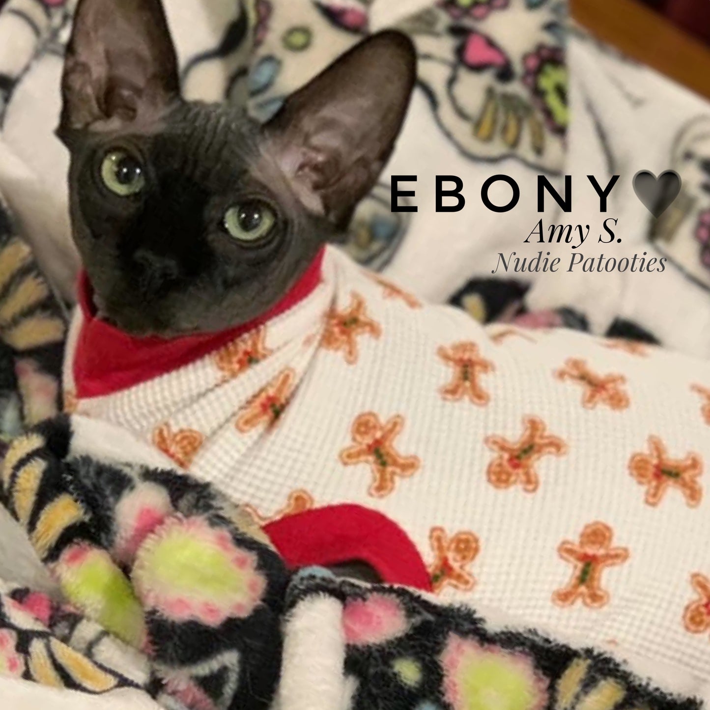 Gingerbread waffle sphynx cat and kitten shirt. Sphynx cat clothes for Christmas