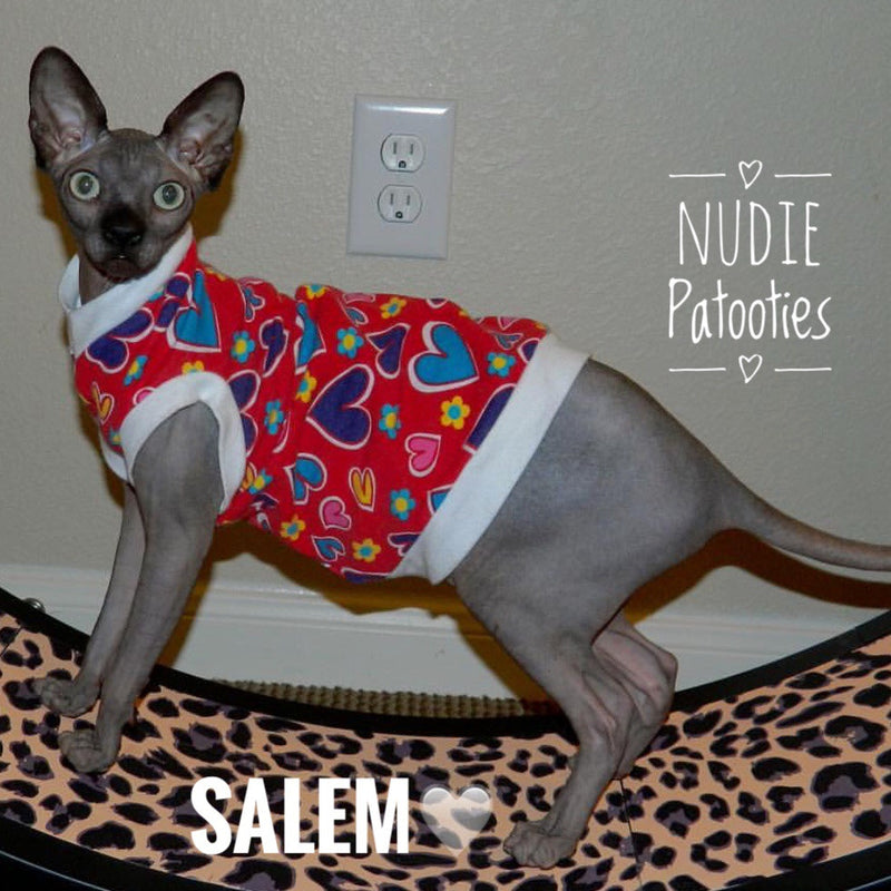 Heart sphynx cat and kitten shirt. Sphynx cat clothes.