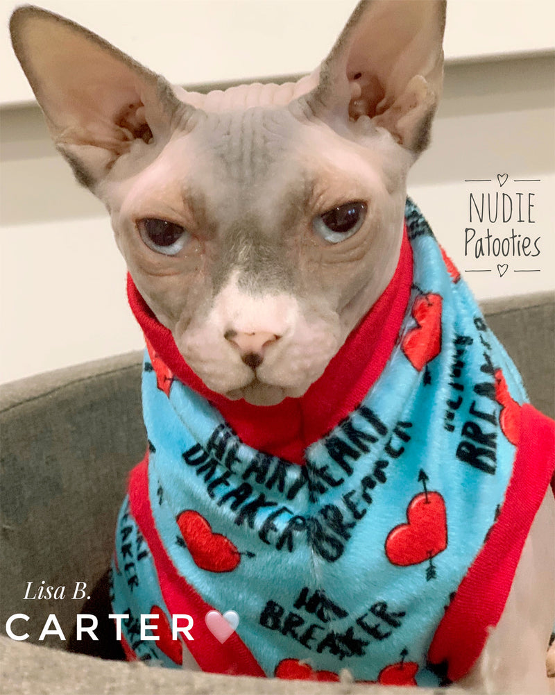 Sphynx cat and kitten shirt. Sphynx cat clothes