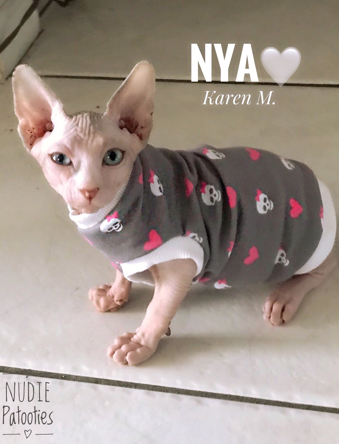 Skull and heart sphynx cat and kitten shirt. Sphynx cat clothes.
