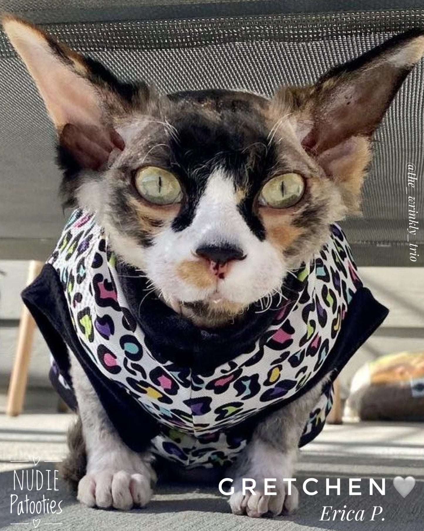 Sun Protection, Rainbow Leopard