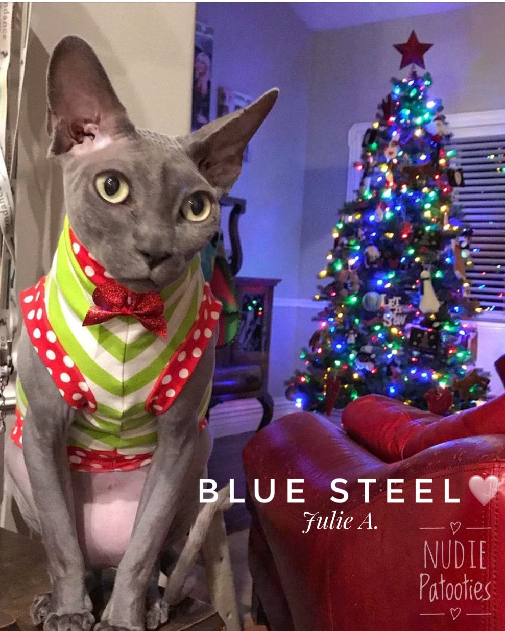 Lime and white stripes with red polka dot trim and cute bow sphynx cat and kitten Christmas shirt. Sphynx cat clothes