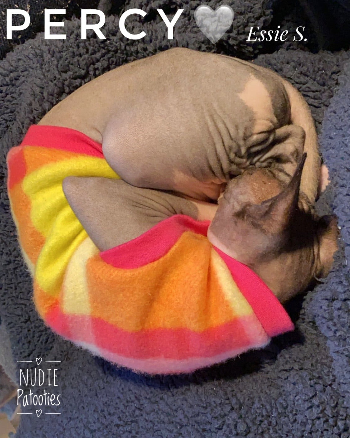 His & Hers Bright Color Block Fleece "Hers"