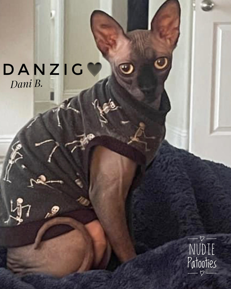 Sphynx cat and kitten skeleton shirt. Sphynx cat clothes.