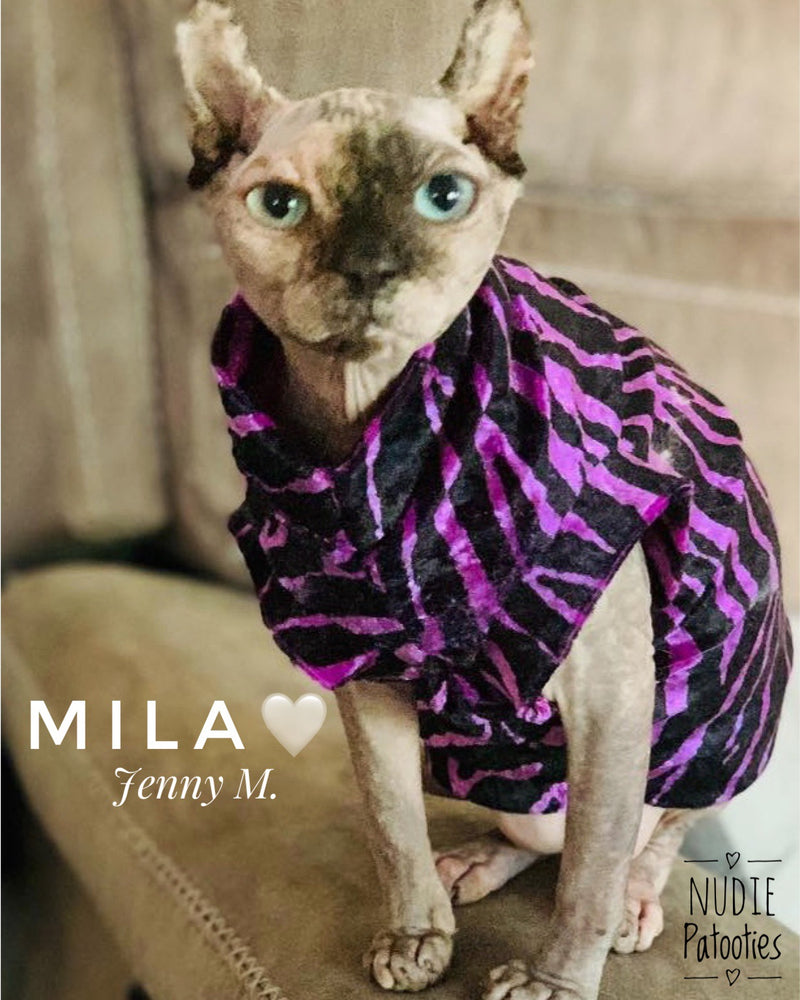 Zebra Velvet Sphynx Cat and kitten shirt.  Sphynx cat clothes