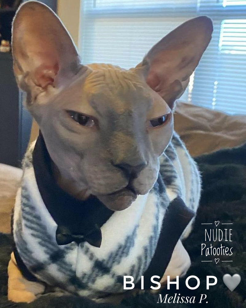 Sphynx cat and kitten warm and soft fleece shirt. Sphynx cat clothes.
