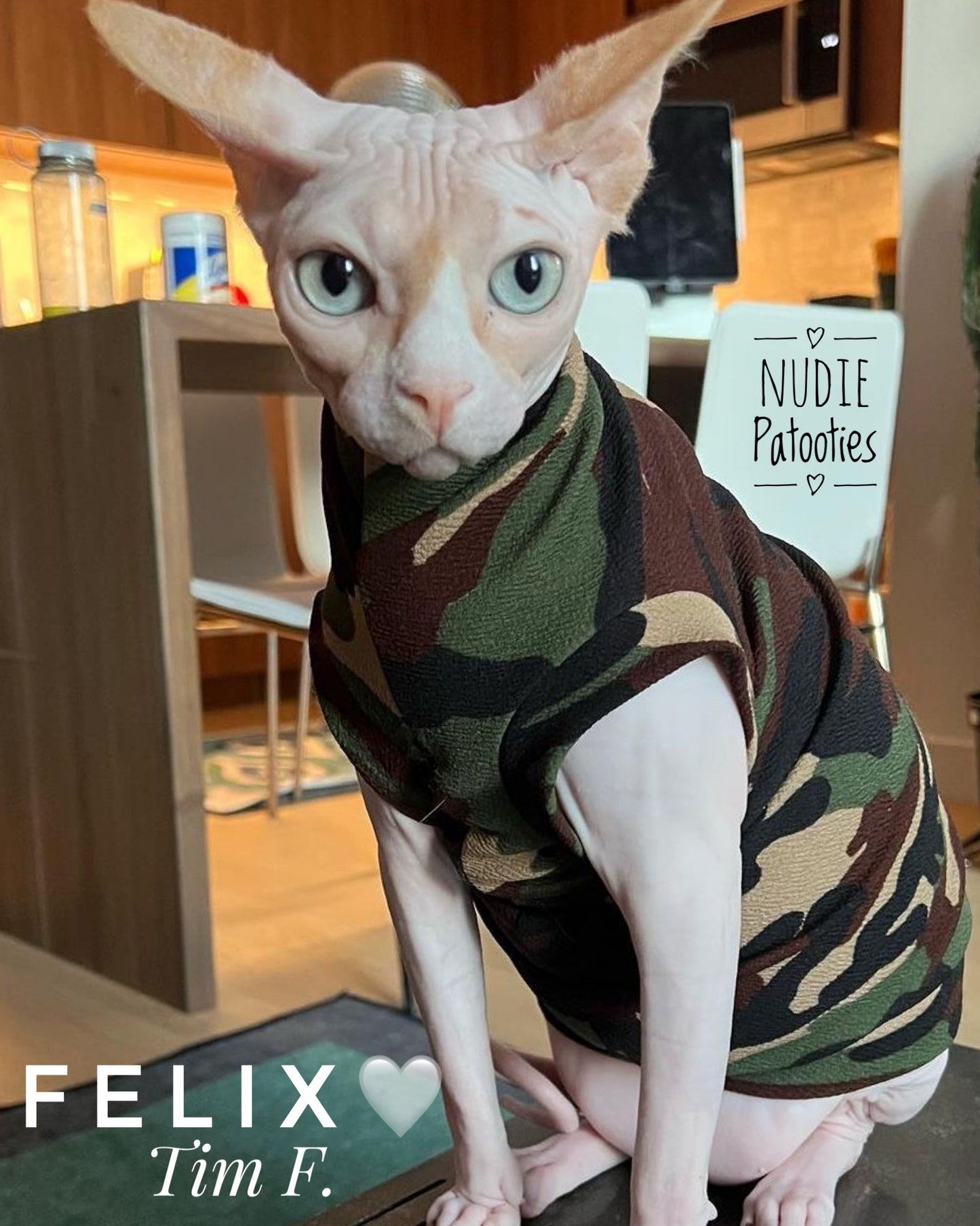 Olive, Tan, Black & Brown Camouflage
