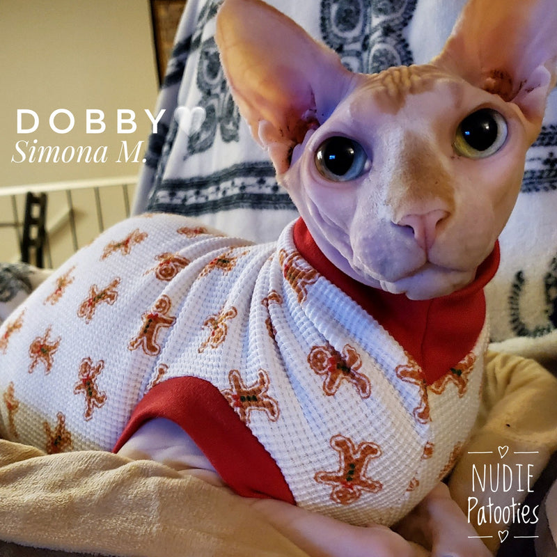 Gingerbread waffle sphynx cat and kitten shirt. Sphynx cat clothes for Christmas