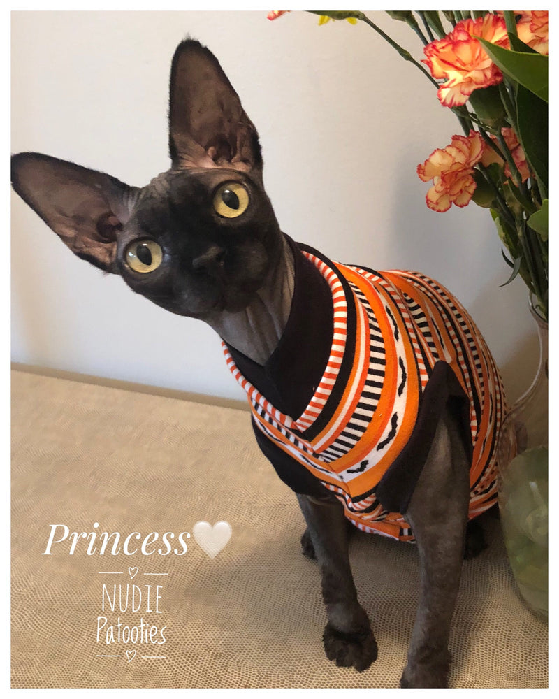 Batty Bat - Nudie Patooties Sphynx cat clothes for your sphynx cat, sphynx kitten, Donskoy, Bambino Cat, cornish rex, peterbald and devon rex cat.