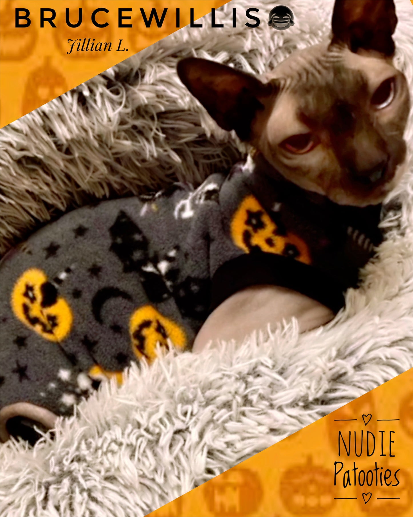 Sphynx cat and kitten fleece shirt. sphynx cat clothes