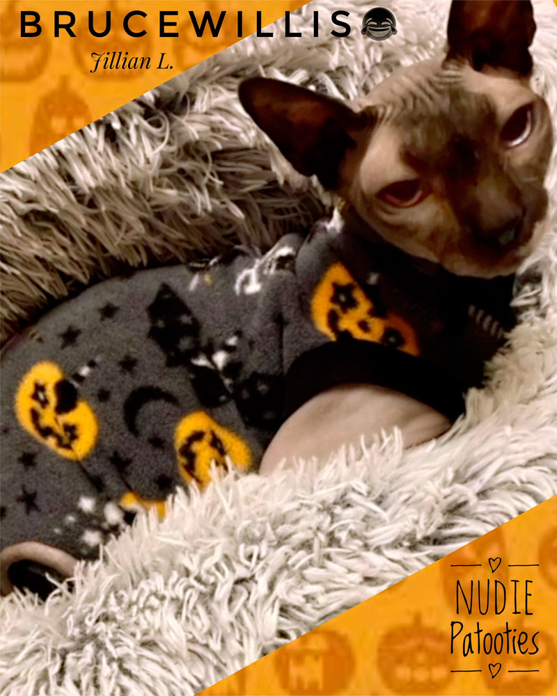 Sphynx cat and kitten fleece shirt. sphynx cat clothes