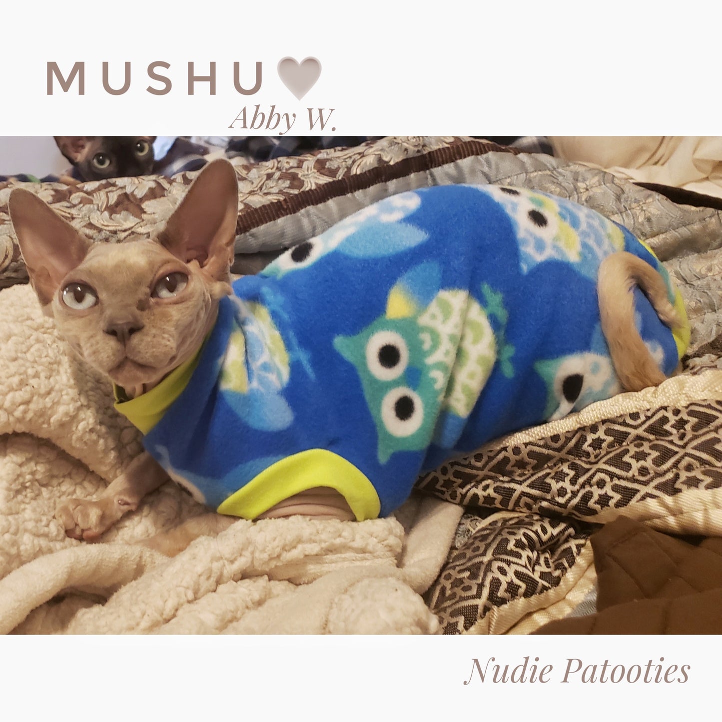 Sphynx cat and kitten warm and soft fleece shirt. Sphynx cat clothes.