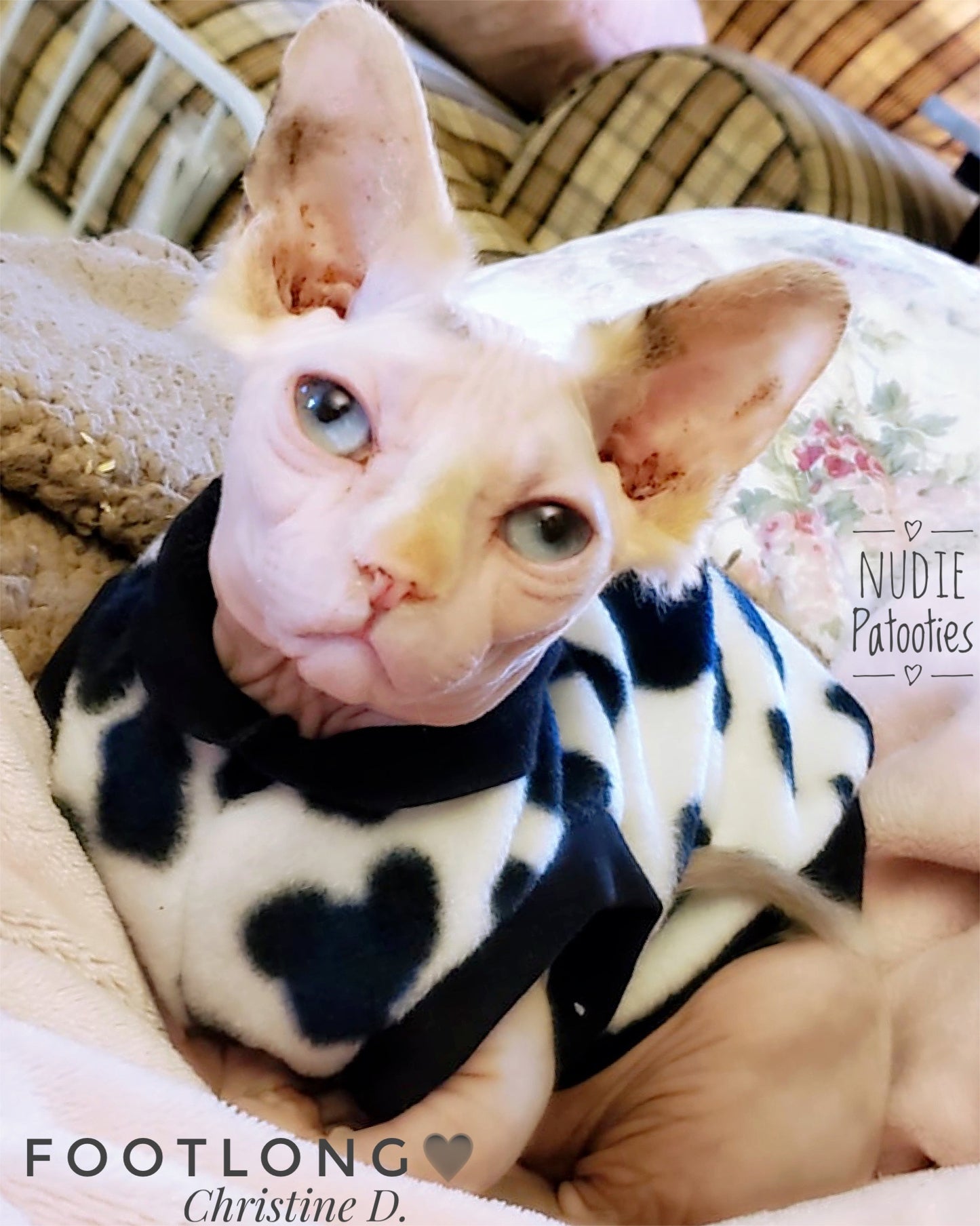 Sphynx cat and kitten warm and soft fleece shirt. Sphynx cat clothes.