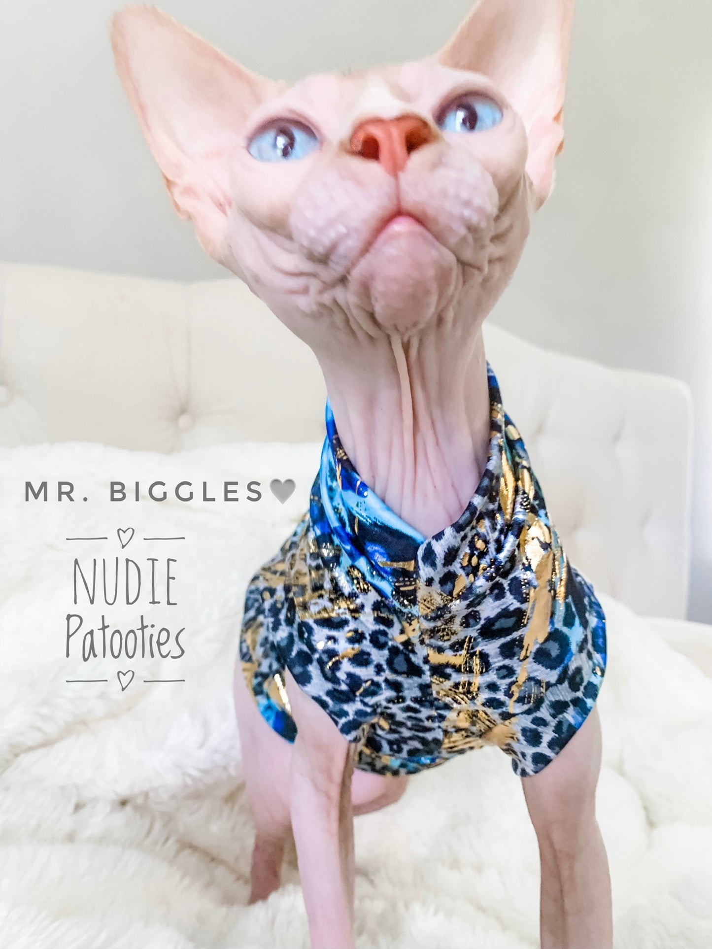 Sphynx cat and kitten shirt. Sphynx cat clothes.