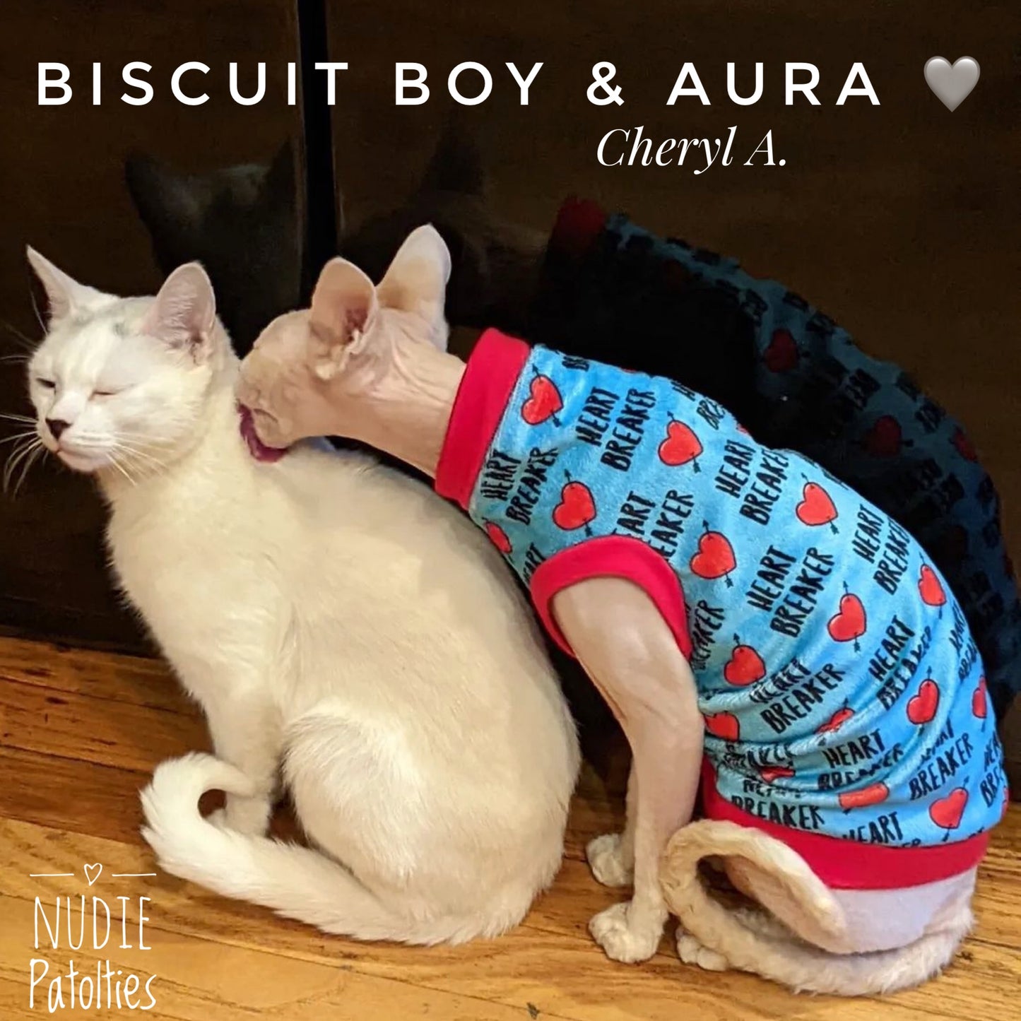 Sphynx cat and kitten shirt. Sphynx cat clothes