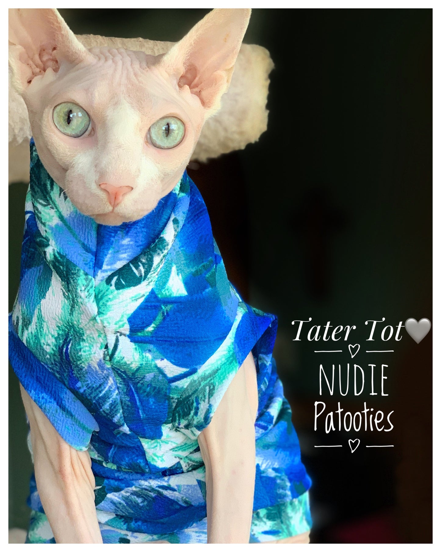 Sphynx cat clothes, shirts and sweaters.