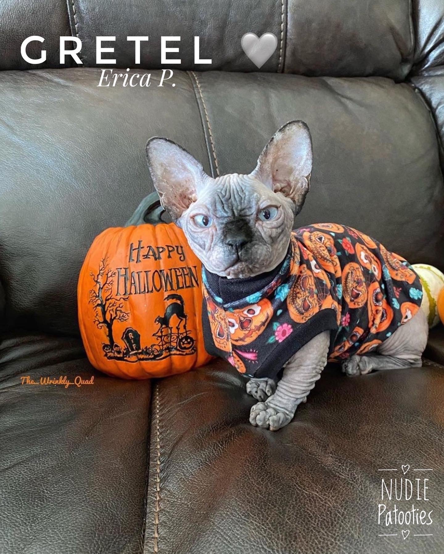 Velvet Sugar Pumpkins w/ Fur Collar