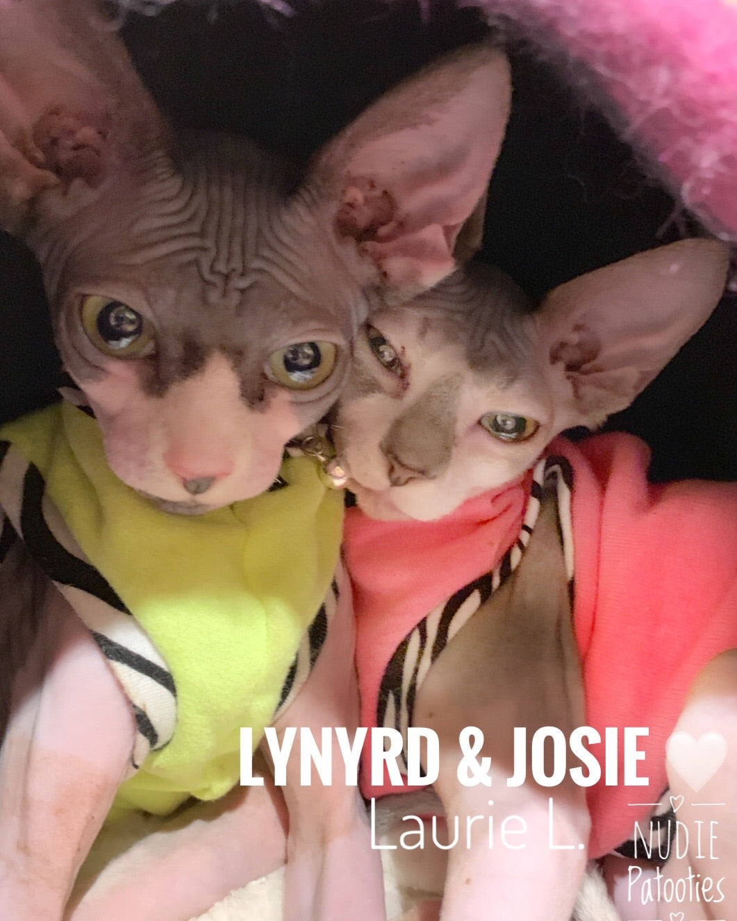 Neon Coral Sweatshirt