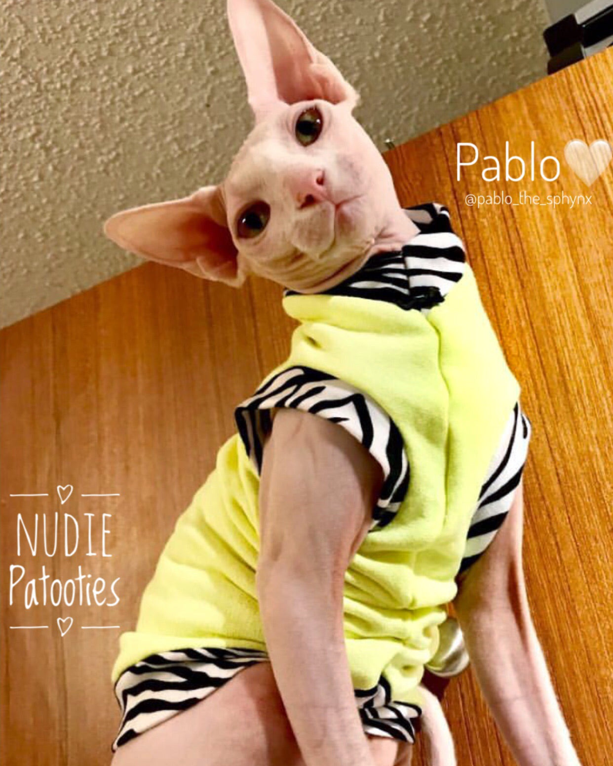 Sphynx Cat Sweatshirt/ Leopard trim/ cat bow tie/ Sphynx Cat Fleece Clothes / clothes for cats/ cat overalls /cat shirt/ cat sweater/ cat sweatshirt/ pet sweater/ Sphynx cat clothes/ Sphynx clothing / cats clothes/ shirt for cat/ cat clothes/ tattoo/ skull/ designer cat clothes/ cat pjs