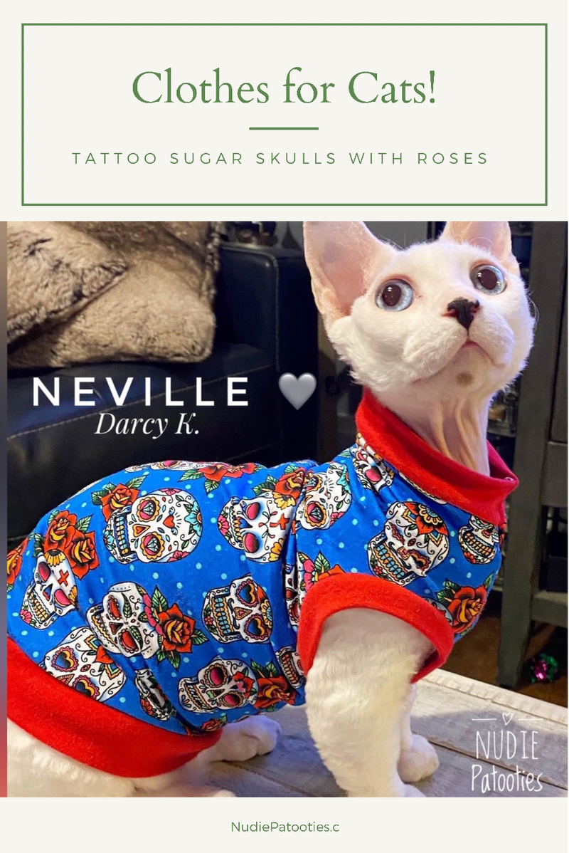 Sphynx cat and kitten shirt. Sphynx cat clothes.