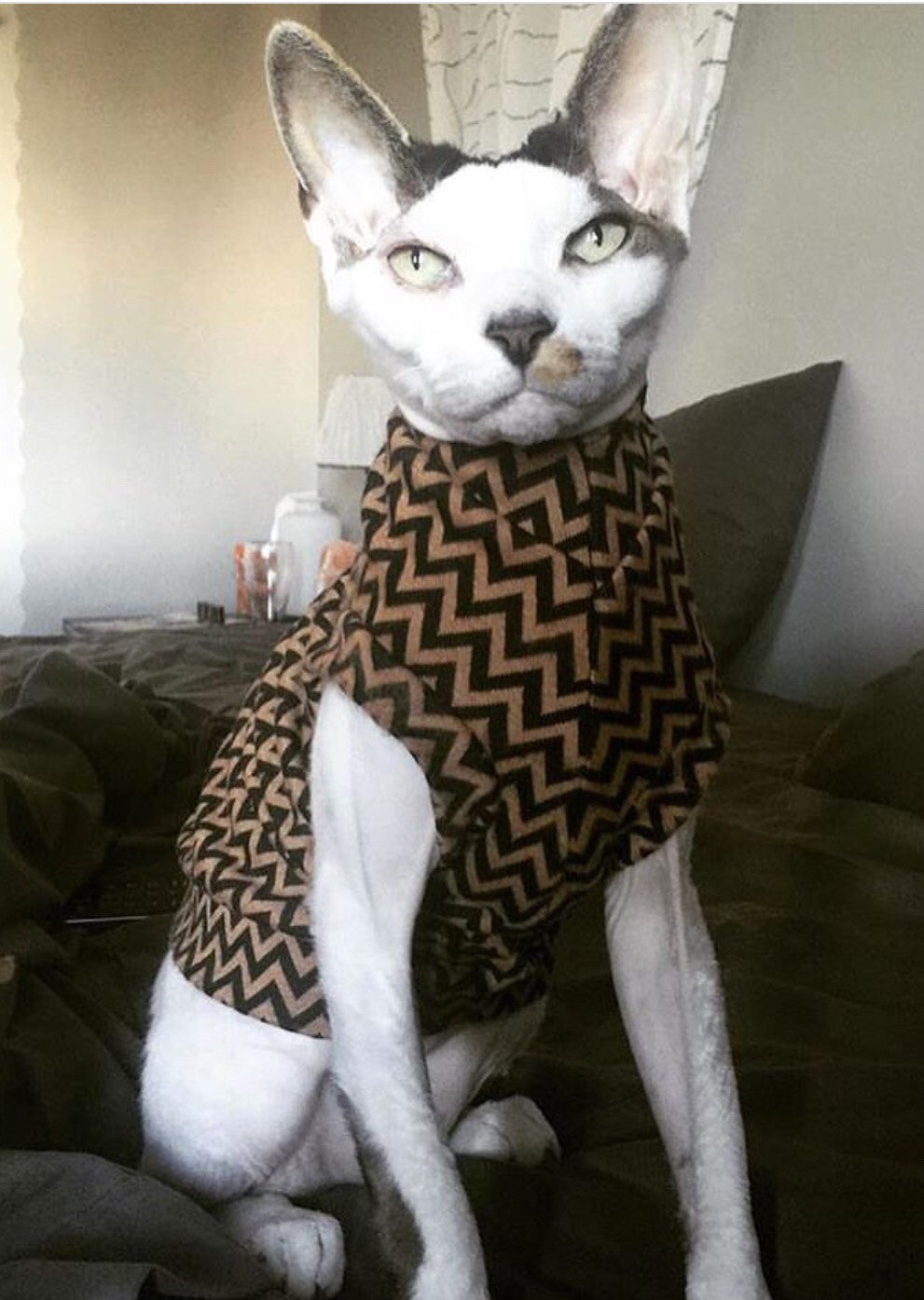 Zig or Zag - Nudie Patooties