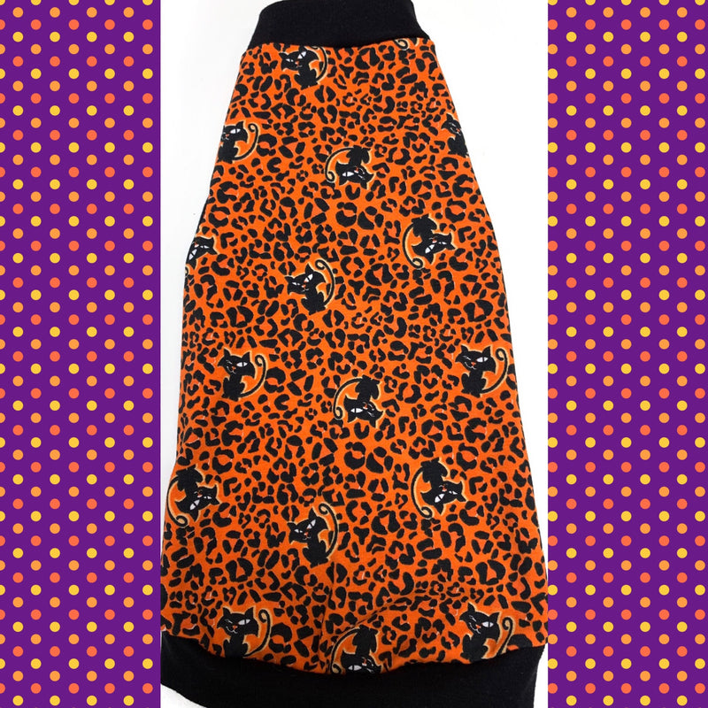 Black Cats & Leopard "Walk on the Wild Side" - Nudie Patooties Sphynx cat clothes for your sphynx cat, sphynx kitten, Donskoy, Bambino Cat, cornish rex, peterbald and devon rex cat.