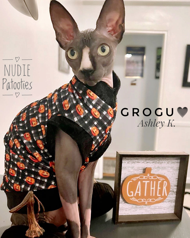 Sphynx Cat and Kitten shirt. sphynx cat clothes