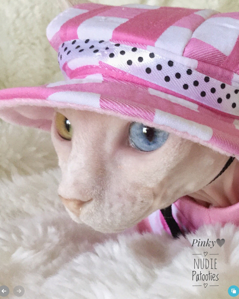 Hat for Cats