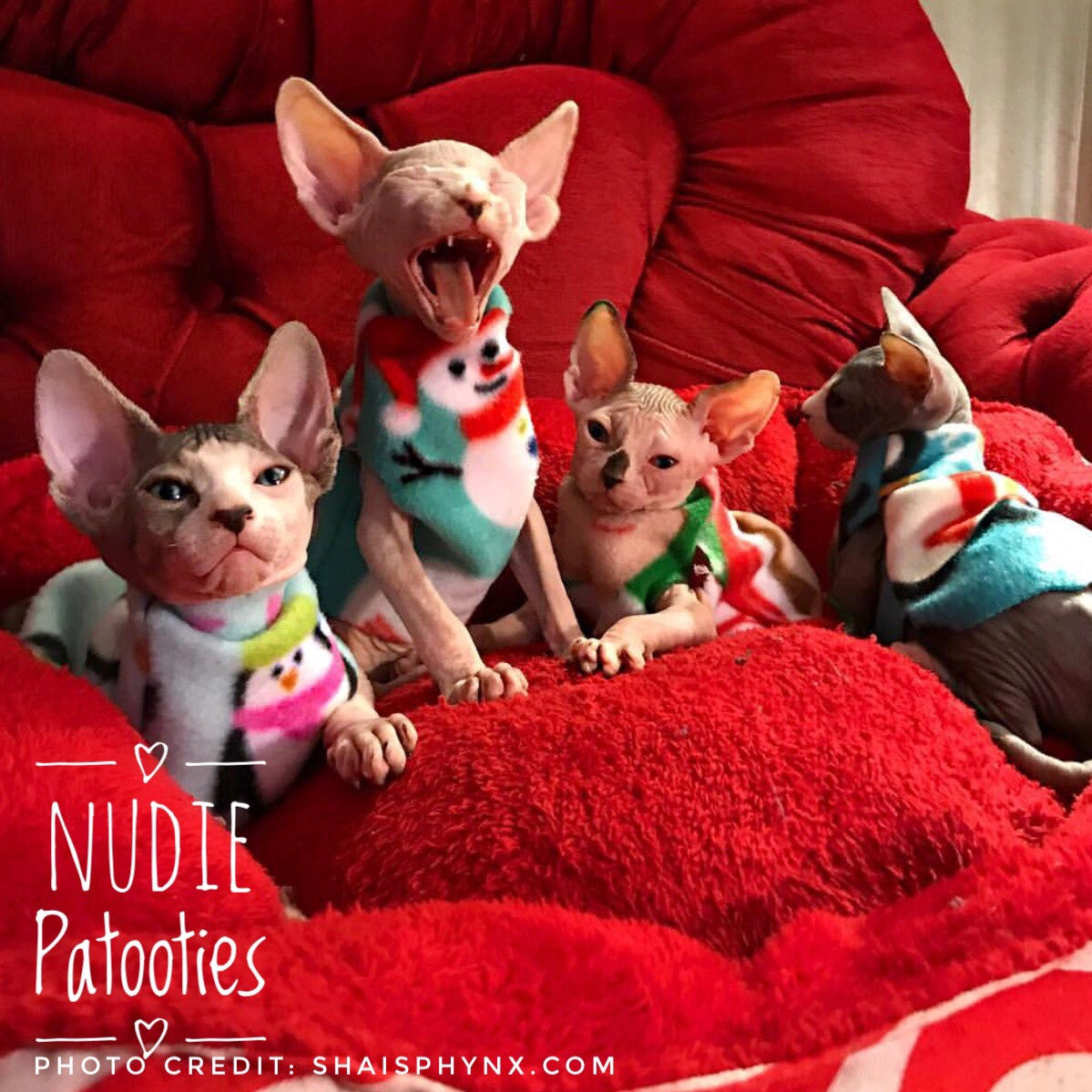 Christmas Pink Penguin Fleece "On Santa's Cute List" - Nudie Patooties  Sphynx cat clothes for your sphynx cat, sphynx kitten, Donskoy, Bambino Cat, cornish rex, peterbald and devon rex cat. 