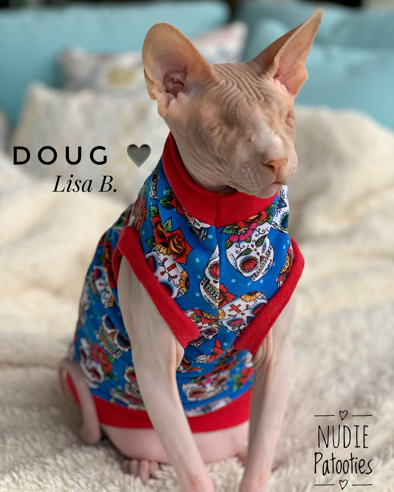 Sphynx cat and kitten shirt. Sphynx cat clothes.