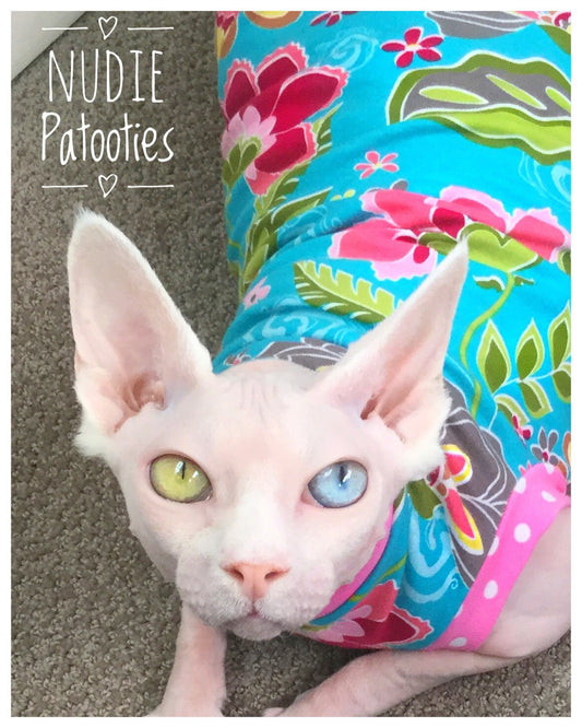 Odd eye sphynx cat in floral shirt.  Sphynx cat and kitten clothes.