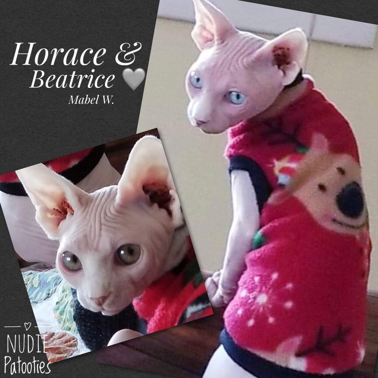 Christmas Red Reindeer Fleece "Dasher and Prancer" - Nudie Patooties Sphynx cat clothes for your sphynx cat, sphynx kitten, Donskoy, Bambino Cat, cornish rex, peterbald and devon rex cat.