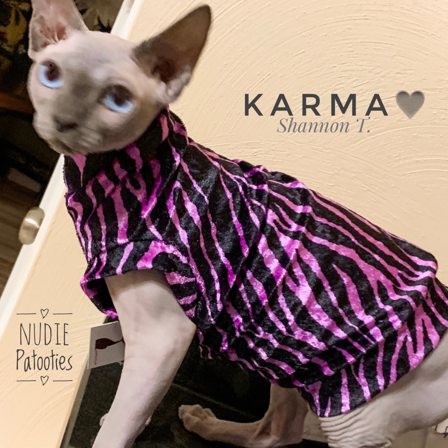 Zebra Velvet Sphynx Cat and kitten shirt.  Sphynx cat clothes