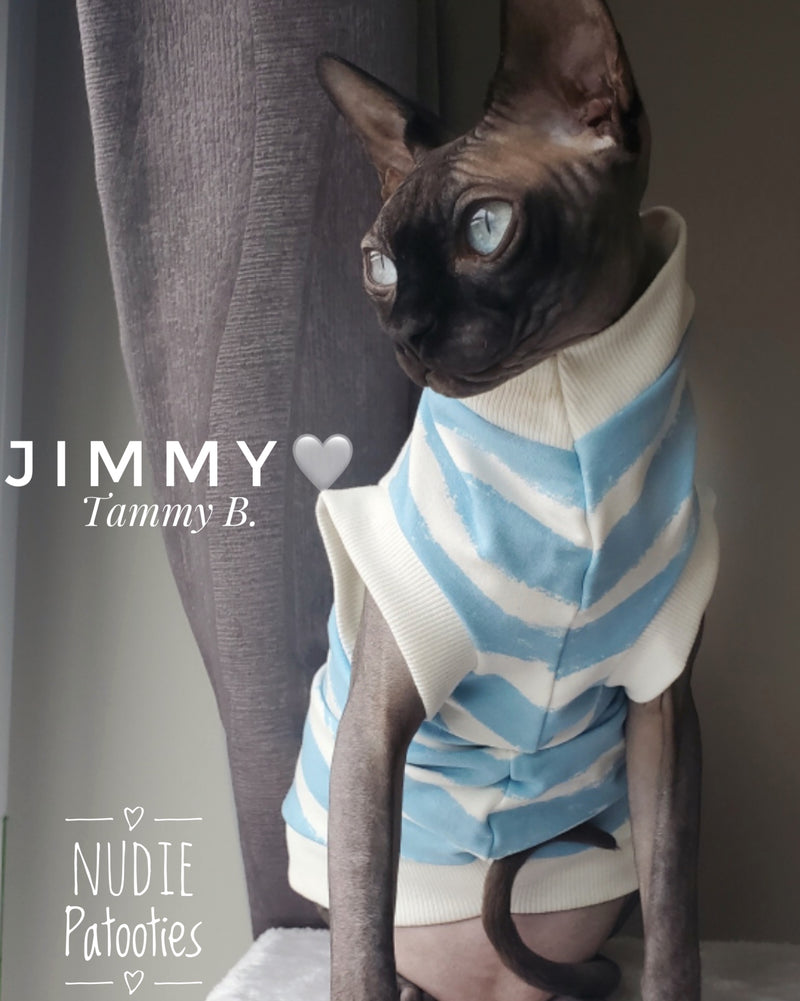 Sphynx cat and kitten organic sweatshirt. Sphynx cat clothes