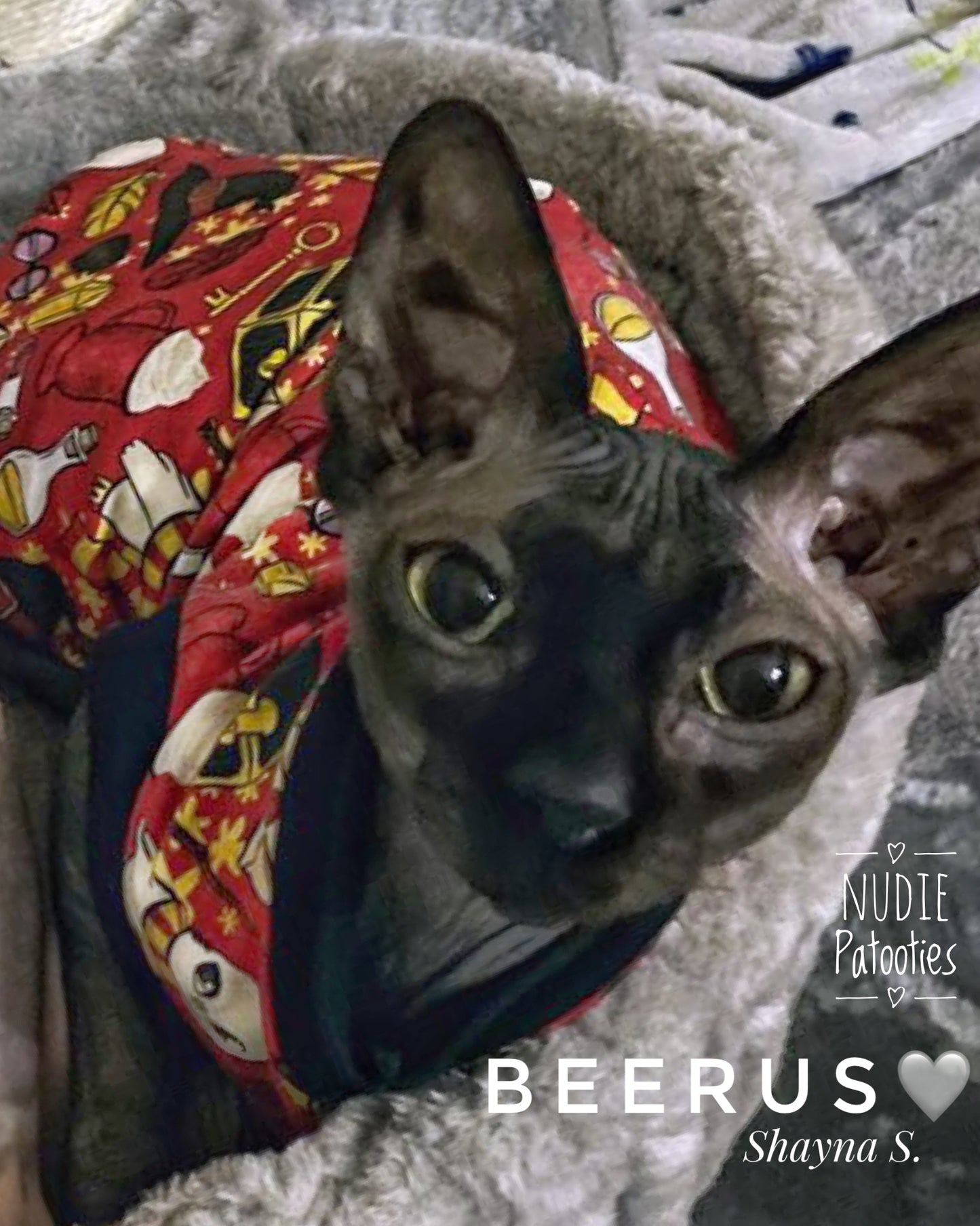 sphynx cat and kitten shirt. sphynx cat clothes