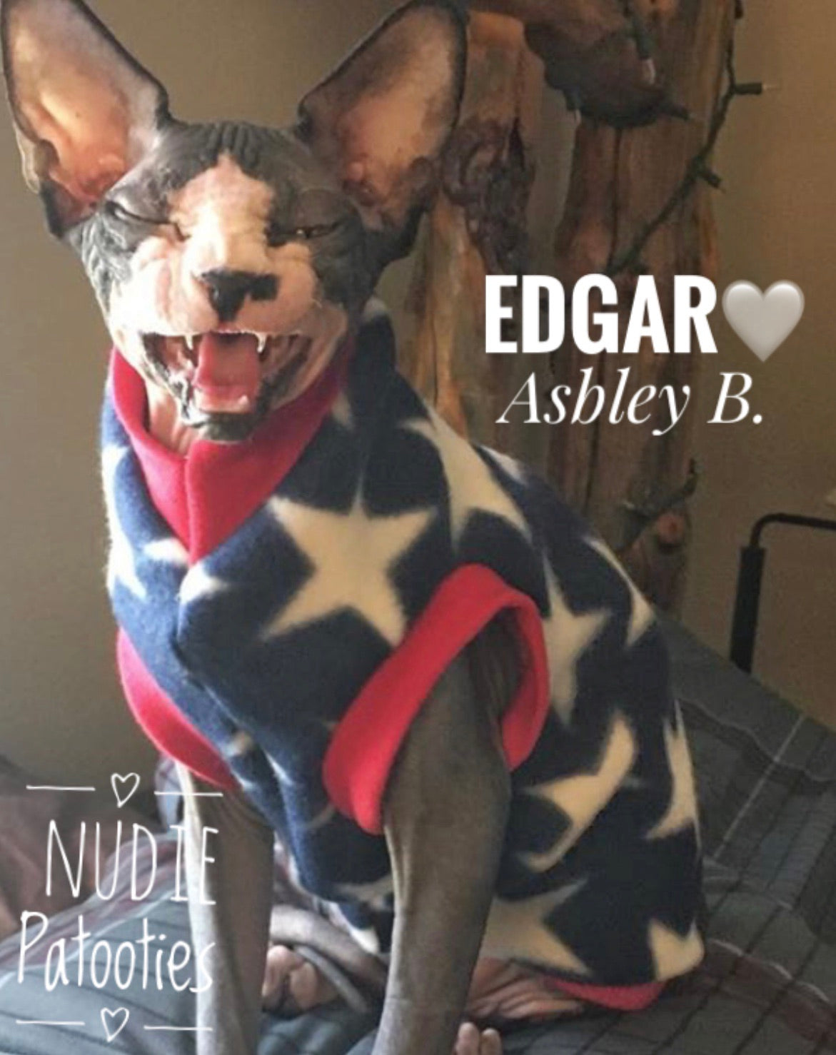 Navy and White Stars Fleece "All American"