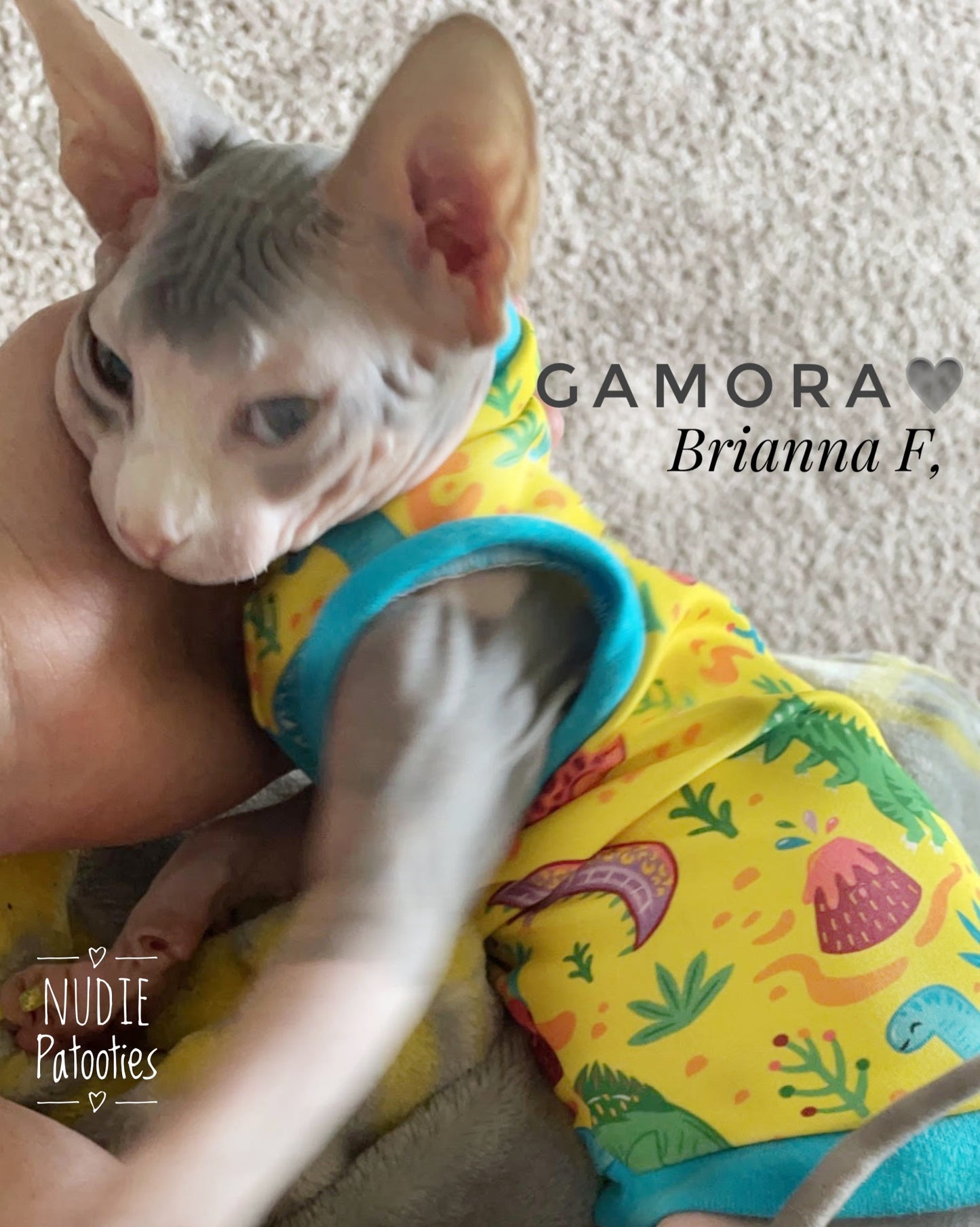 UV 50 + sun protection shirt for sphynx cat and kitten. Sphynx cat clothes.