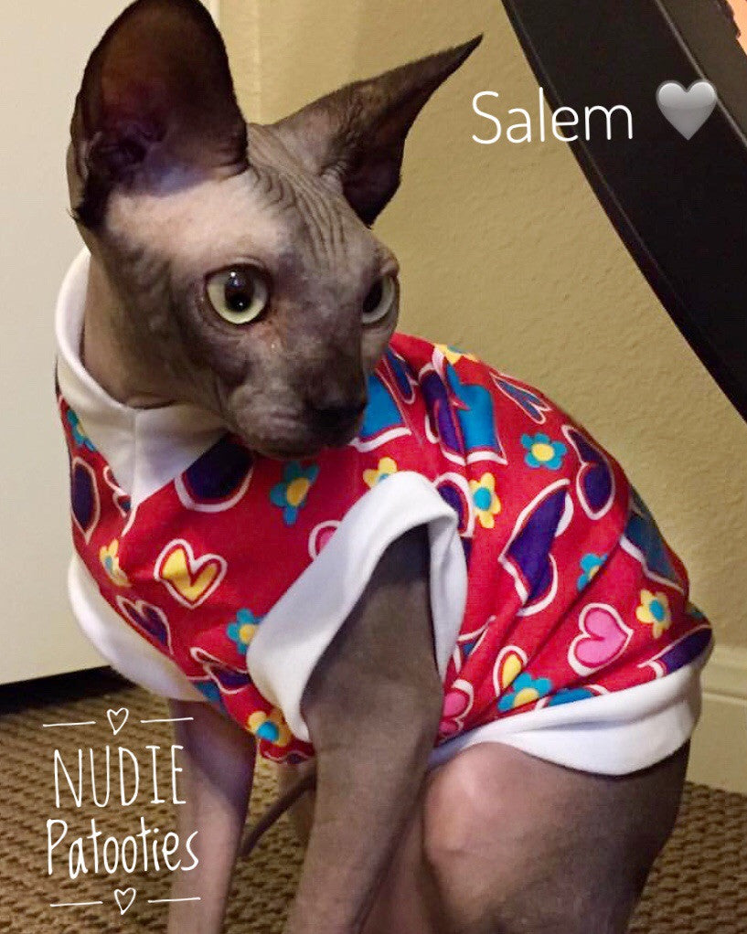 Heart sphynx cat and kitten shirt. Sphynx cat clothes.