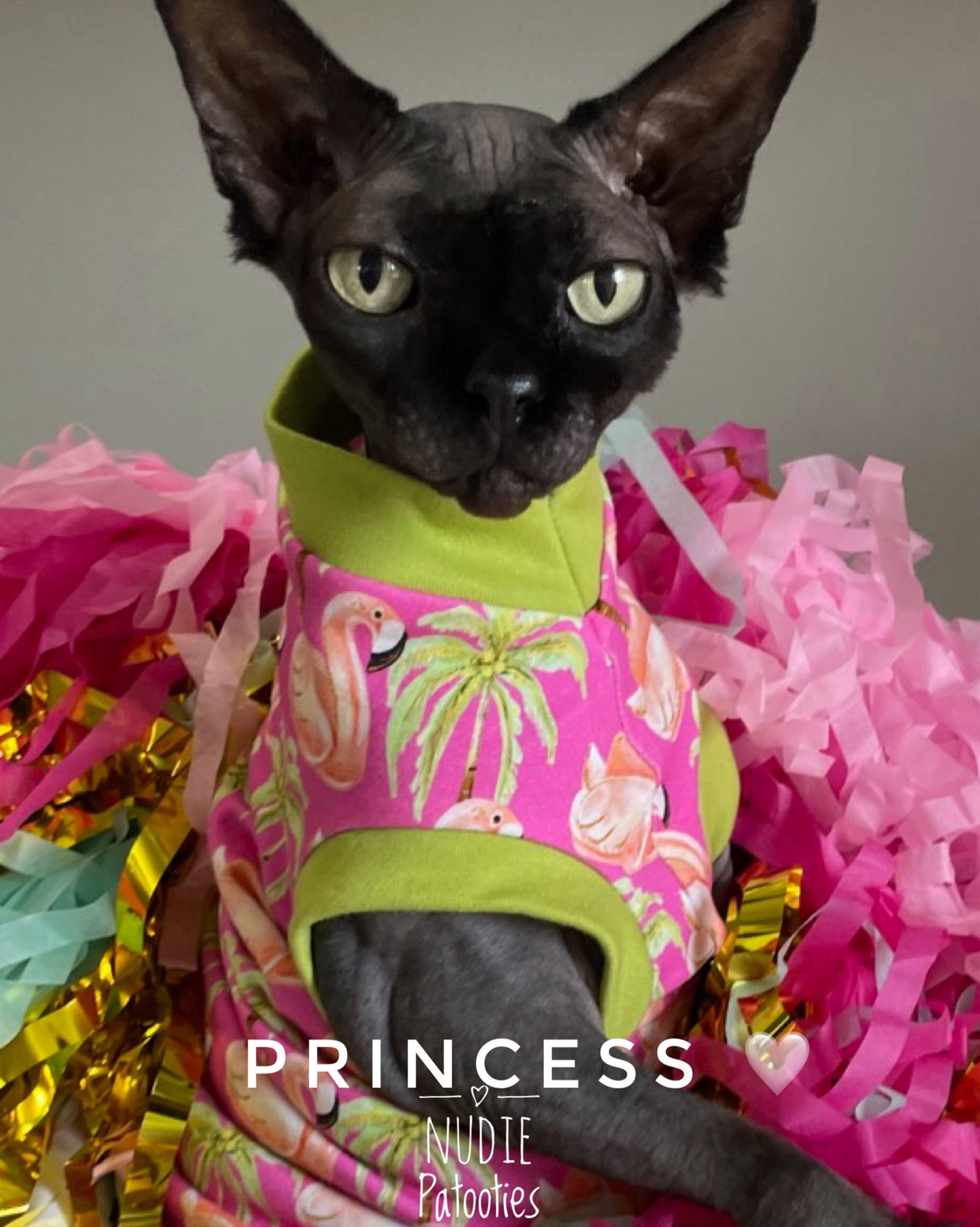 sphynx cat and kitten shirt. sphynx cat clothes