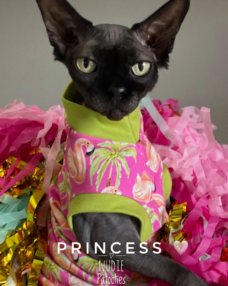 sphynx cat and kitten shirt. sphynx cat clothes