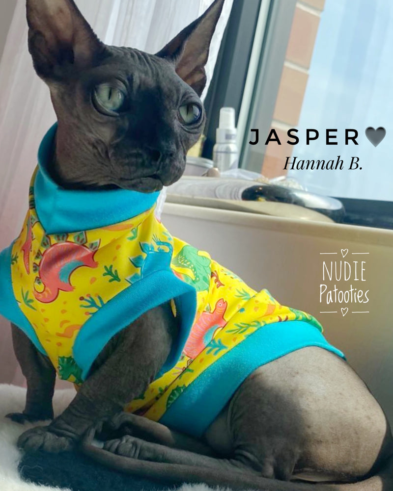 UV 50 + sun protection shirt for sphynx cat and kitten. Sphynx cat clothes.