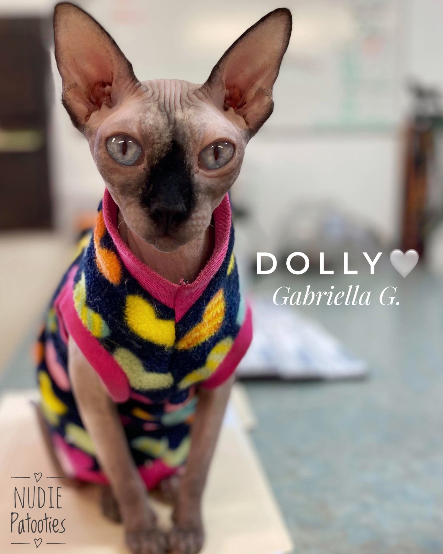 Colorful Heart Fleece "Love Me, Love Me, Say that you Love Me"