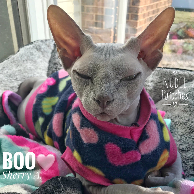 Colorful Heart Fleece "Love Me, Love Me, Say that you Love Me" - Nudie Patooties Sphynx cat clothes for your sphynx cat, sphynx kitten, Donskoy, Bambino Cat, cornish rex, peterbald and devon rex cat.