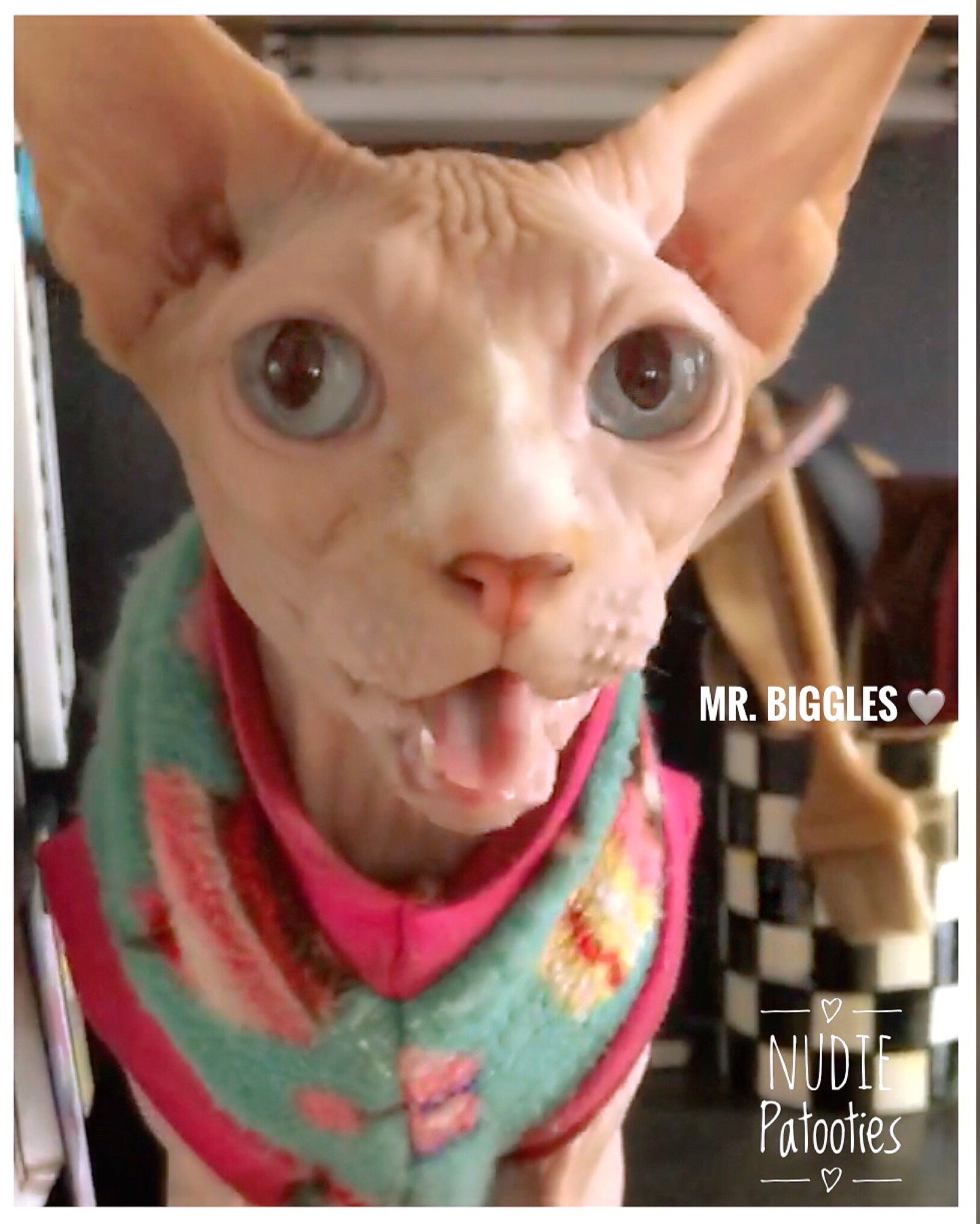 Turquoise Cupcake Fleece "Sweet as a Cupcake"