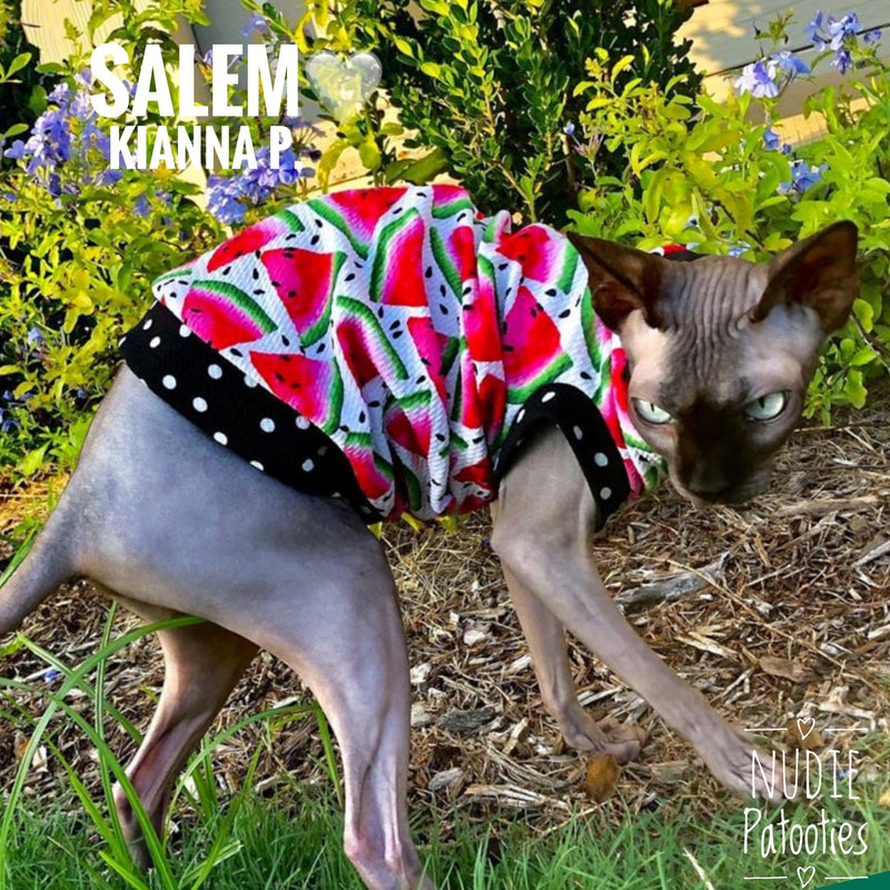 Sphynx cat and kitten watermelon shirt. Sphynx cat clothes.