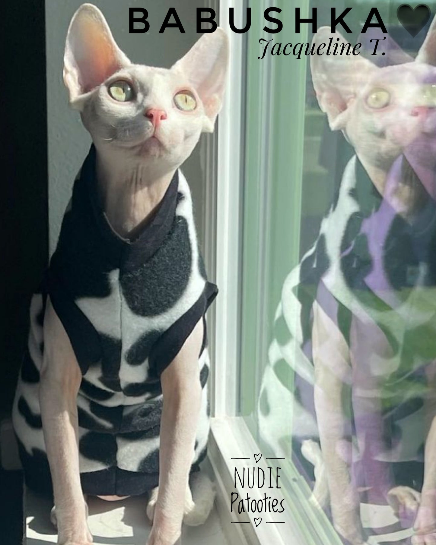 Sphynx cat and kitten warm and soft fleece shirt. Sphynx cat clothes.