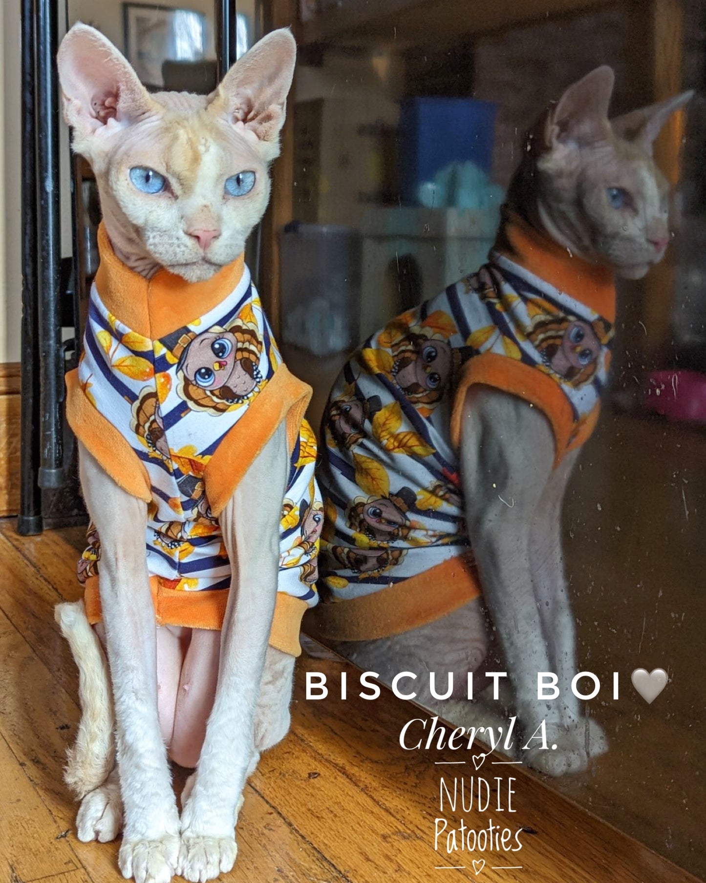 Sphynx cat and kitten turkey shirt. Sphynx cat clothes