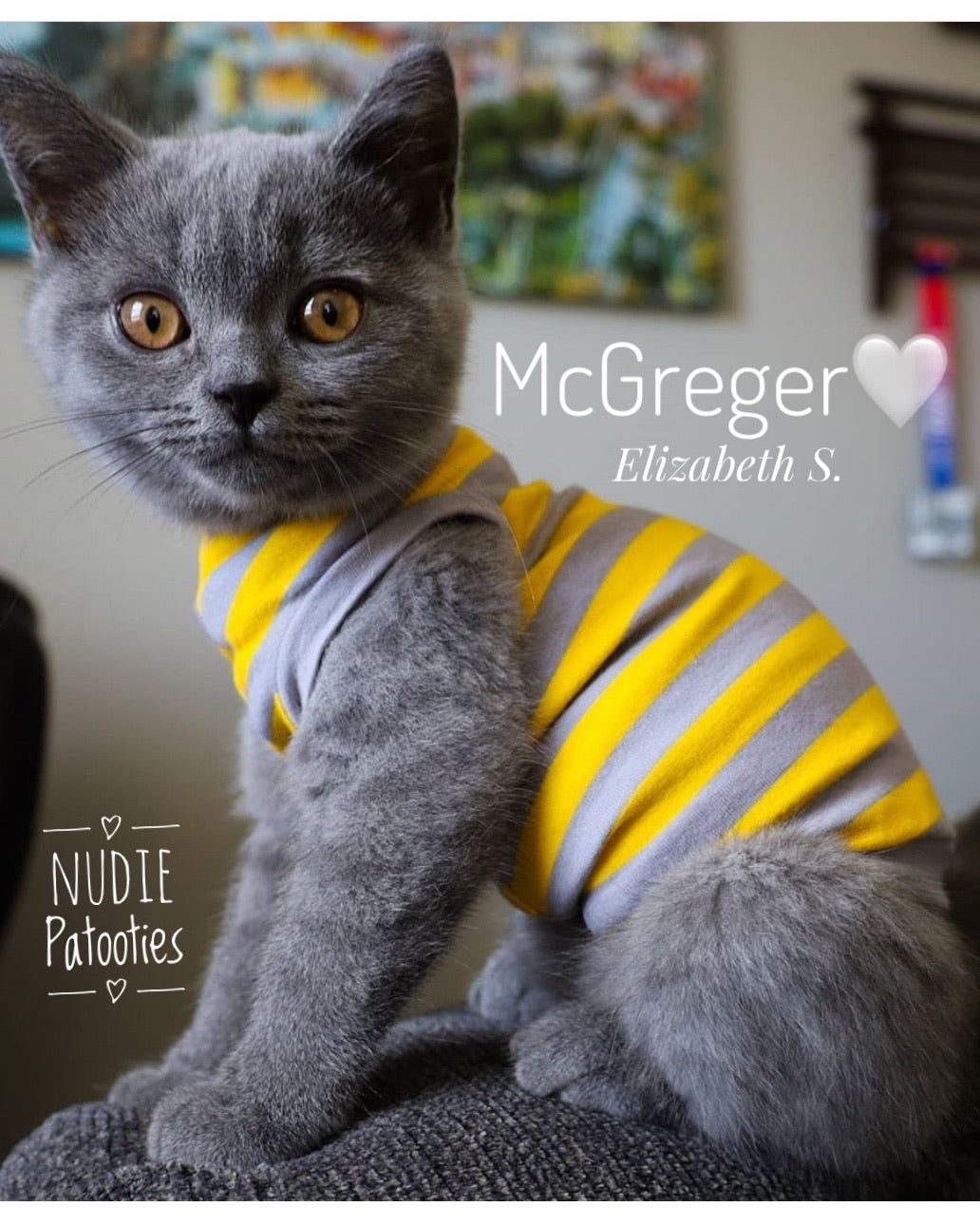 Grey and Yellow Stripe
