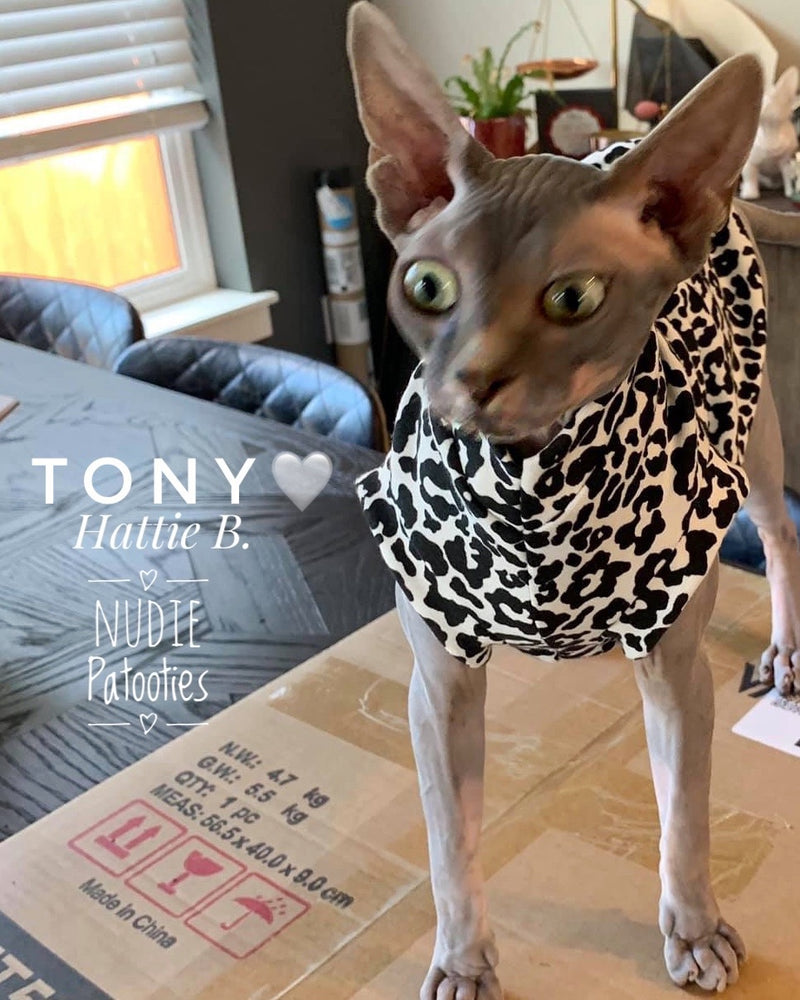 Black and White Cheetah - Nudie Patooties Sphynx cat clothes for your sphynx cat, sphynx kitten, Donskoy, Bambino Cat, cornish rex, peterbald and devon rex cat.